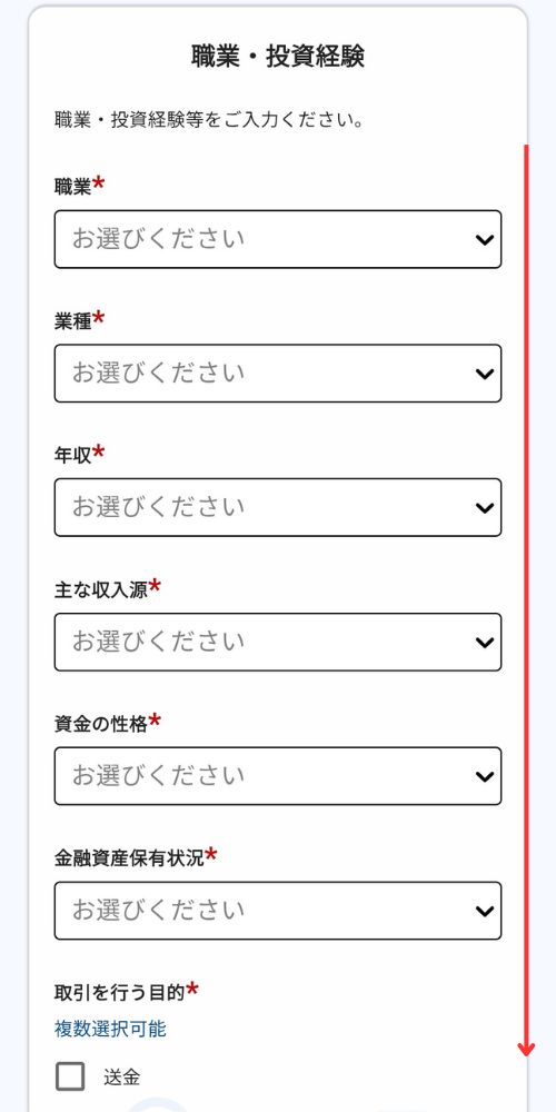 JPYCEXの職業入力画面